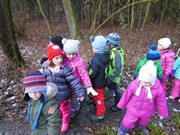 Výprava do lesa, krmení zvířátek